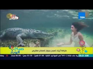 Tải video: صباح الورد | Sabah El Ward - فيديو عارضة أزياء تسبح بجوار تمساح مفترس !