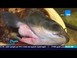 صباح الورد - فيديو غريب لسمكة تعود للحياة بعد طهيها 