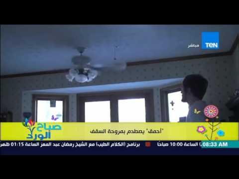 صباح الورد - فيديو لـ شخص أحمق تصطدم رأسه بمروحة السقف لإنقاذ الطماطم