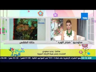 صباح الورد | Sabah El Ward - تعرف على الحالة الجوية وحقيقة العاصفة الترابية وسقوط الأمطار