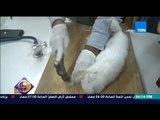 عسل أبيض | 3asal Abyad - فيديو لمدرس بلا رحمة .. يعذب 