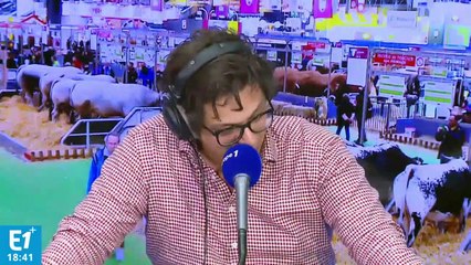 Permaculture : "On arrive non seulement à vivre décemment, mais aussi à créer une dynamique sur le territoire"