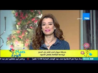 صباح الورد - حديقة حيوان لندن تفتح باب الحجز لروادها للإقامة بقفص الاسود