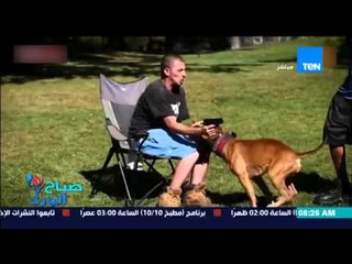 صباح الورد - فيديو يظهر قوى خارقة لاقوي كلب حراسة فى العالم فى عالم التهديات