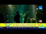 صباح الورد - فيديو كوميدي لثعبان البحر وهو يرقص على أنغام موسيقى الجاز داخل المياة