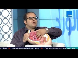 صباح الورد - د/ شوقي رشوان - إستشاري أمراض النساء والتوليد يشرح بالتفصيل المشيمة وتكوينها