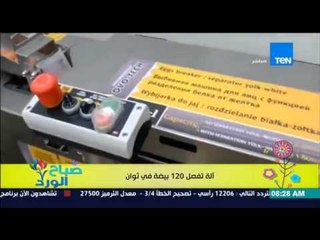 صباح الورد - فيديو يحقق نسب مشاهدة عالية جدا لـ"آلة تفصل 120 بيضة" فى ثواني معدودة