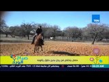 صباح الورد - فيديو لحصان يتخلص من 