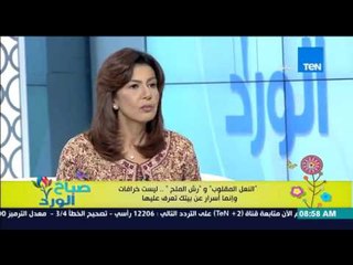 صباح الورد - خبيرة طاقة المكان تحذر وضع السرير فى ظهر حيطة متصلة "بالتواليت" .. بتجيب النكد