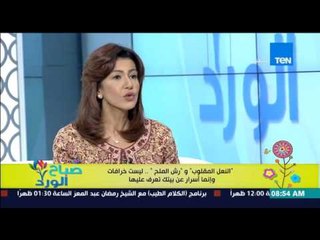 صباح الورد | Sabah El Ward - "النعل المقلوب ورش الملح" ليست خرافات  - خبيرة طاقة المكان سها عيد