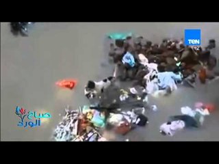 صباح الورد - فيديو يرصد لقطات مؤثرة لكلبة تنقذ جراءها من الغرق فى السيول