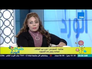 صباح الورد - مساعد رئيس حي العجوزة يكشف حقيقة التعاون بين الحي ود/شيرين فى الحملات على المطاعم