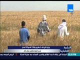النشرة الإخبارية - وزارة الزراعة: 3 ملايين و158 ألف و995 فدان تم زراعتها بالقمح حتى الآن
