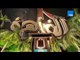 مساء القاهرة |Mesaa Al Qahera - حلقة السبت 11-1- 2016 - إنجي أنور و تعديل قانون التظاهر