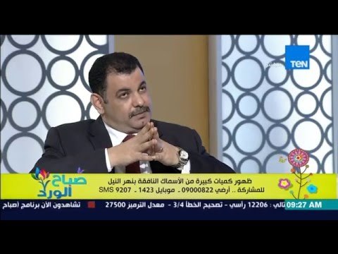 صباح الورد - متصل يكشف حقيقة الأسماك النافقة بنهر النيل الصيادين بياخدوها ويبعوها للناس مسممة