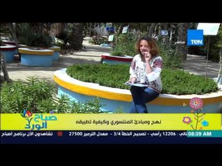 صباح الورد - مونتيسوري مصر مع مروة رخا - منهج ومبادئ المونتيسوري وكيفية تطبيقه