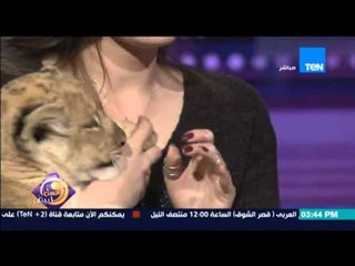 عسل أبيض - "الأسد لارا" لعب ومرح مع مدربة الأسود أنوسة كوتة داخل ستوديو عسل أبيض