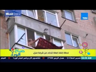 صباح الورد - فيديو يجذب عدد كبير من المشاهدات للحظة إنقاذ قطة تتدلى من شرفة منزل