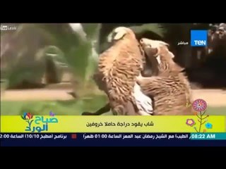 صباح الورد - فيديو يثير دهشة الجميع لشاب يقود دراجة نارية حاملاً "خروفين" كالأطفال