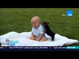 صباح الورد - فيديو يحقق 7 مليون مشاهدة لعلاقة الأطفال مع الكلاب وسط نوبة من الضحك الهستيري