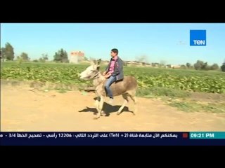 مساء القاهرة -- طفل 14 سنة يحول حمار الى حصان " ينط الحواجز "