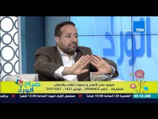 صباح الورد - وصفة طبيعية لتفتيت حصوات الكلى وعلاج الاملاح بالجسم من د/سيد قطب