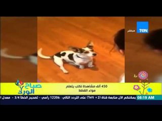 صباح الورد - فيديو يحصد أكثر من 450 ألف مشاهدة لكلب يحاول ويتعلم "مواء القطط"