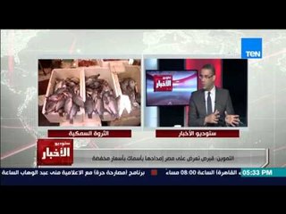 ستوديو الاخبار -  التموين : قبرص تعرض على مصر امدادها بأسماك بأسعار مخفضة
