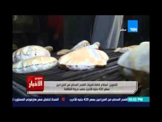 Studio El25bar | ستوديو الأخبار - استلام كافة انتاج المزارعين من القمح المحلي بسعر 420 جنية