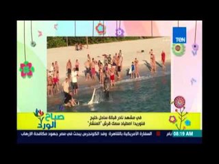 صباح الورد | Sabah El Ward - اصطياد سمك  القرش ابو سيف في فلوريدا