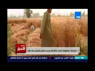Studio El25bar | ستوديو الأخبار - الحكومة تسلمت 602 ألف طن من القمح المحلي حتي الان