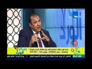 الحلول القانونية لمشاكل شقق الايجار القديم والجديد ووضعهم فى الميراث