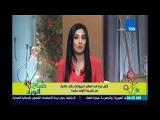 صباح الورد | Sabah El Ward - كندا لأول مرة تخصص مقاعد درجة أولى للـ  الكلاب  بالطائرات