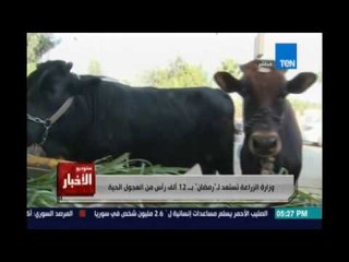 ‫ستوديوالأخبار‬..وزارة الزراعة تستعد لـ رمضان بـ12 ألف رأس من العجول الحية