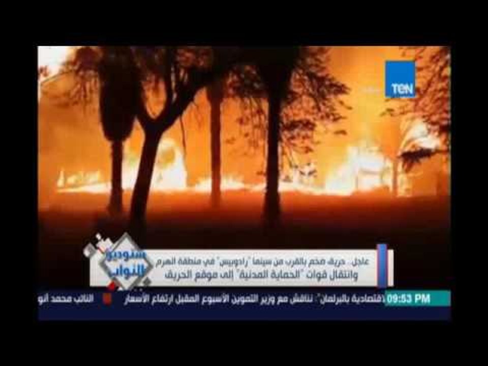 د.حسام هزاع : مبادرة مصر في قلوبنا عملت حركة للسياحة الداخلية  لكنها لم تفيد حركة السياحة الخارجية
