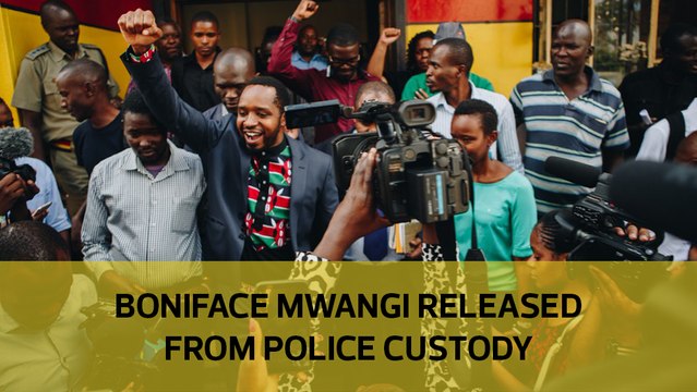 Boniface Mwangi released from police custody