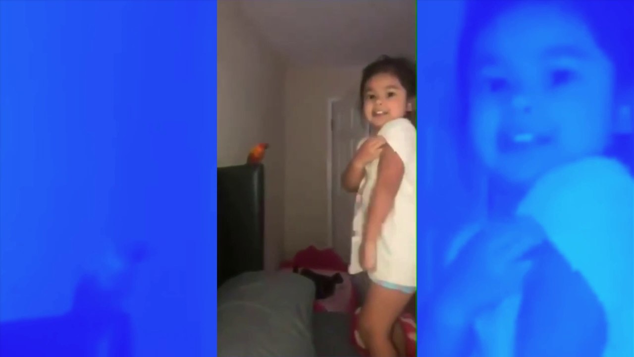 VIDÉO : cette petite-fille a dressé son perroquet pour qu’il attaque qui elle veut