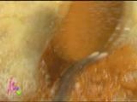 Erich, Darla, Kris and Bimby try the Veggie pizza