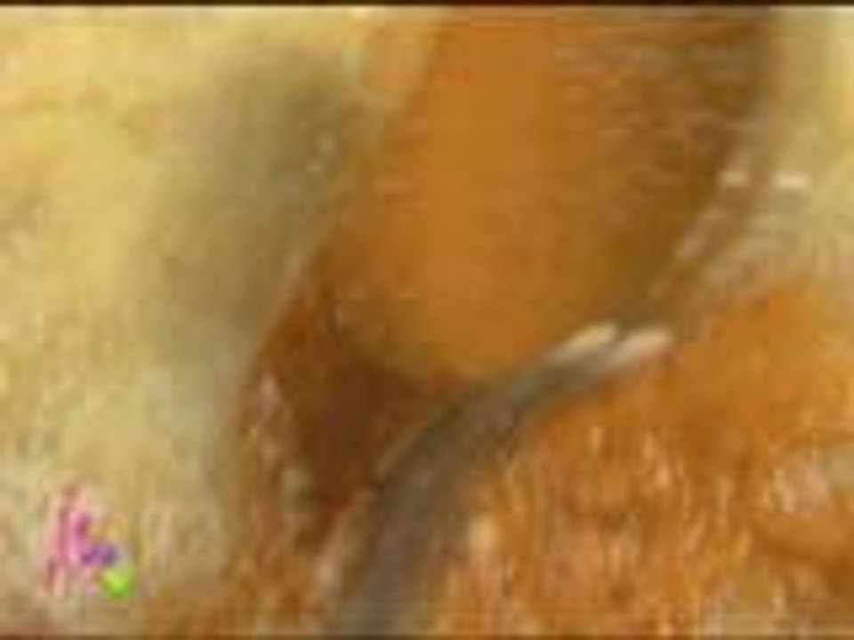 Erich, Darla, Kris and Bimby try the Veggie pizza