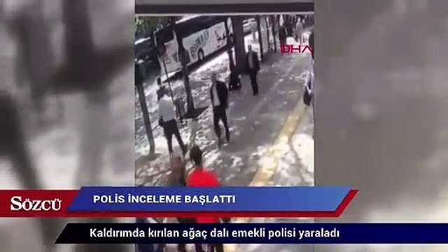 Kaldırımda kırılan ağaç dalı emekli polisi yaraladı