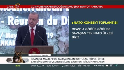 NATO Konseyi Toplantısı'nda