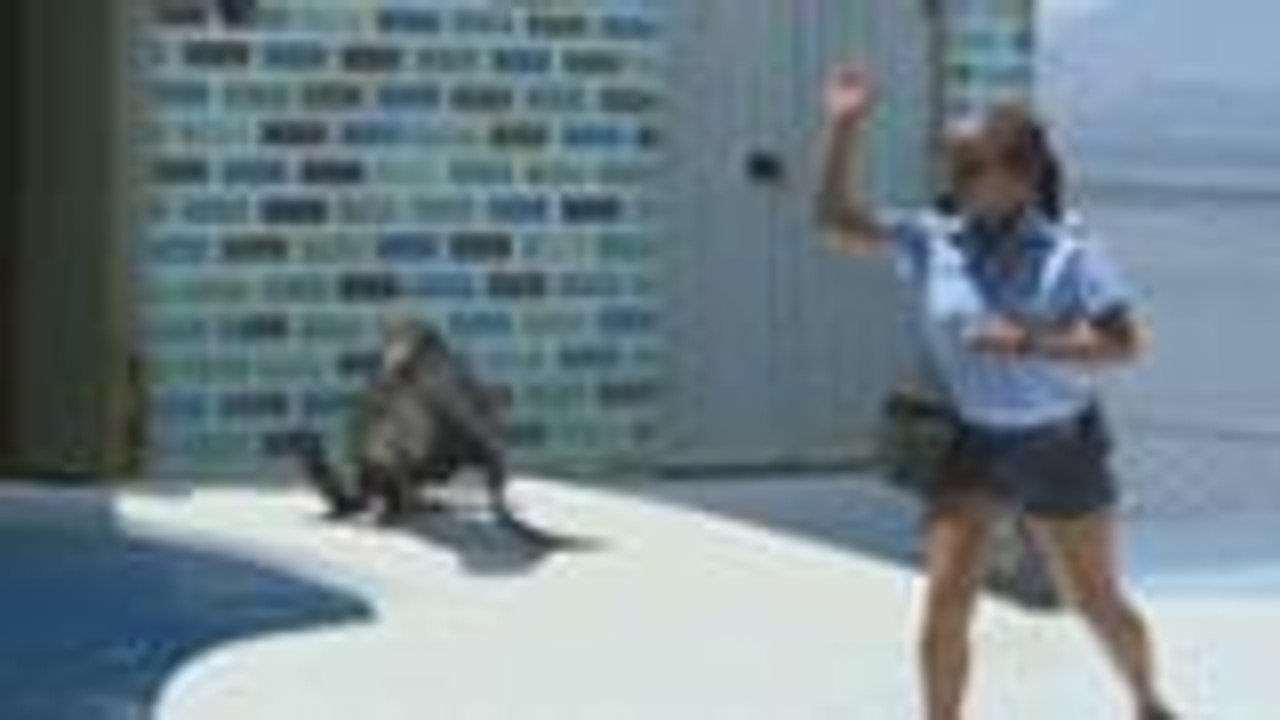 Inday, tuluyan na kayang mahuhulog kay Greg?