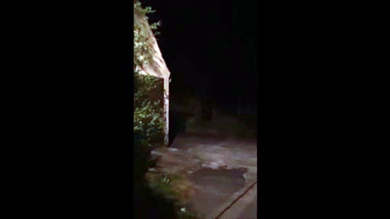 Drachenlord schreit durch Dorf, gesteht Morde und wirft eine Wasserbombe an die eigene Wand 21.04.2018