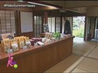 The horticulture at the zen temple