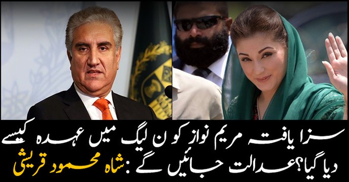 PTI decides to challenge Maryam Nawaz’s appointment as PML-N vice-president