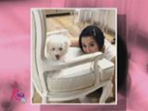 Prada, ang aso nina Kris at Bimby, may sariling yaya