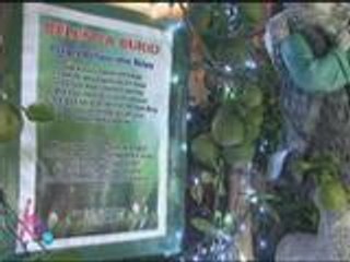 Kris features the Belens in Tarlac