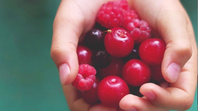 What Is the Best Way to Store Fresh Berries?
