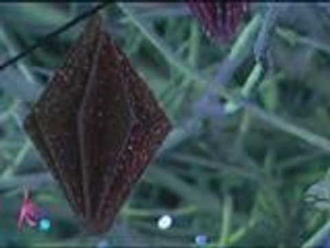 Christmas Tree from recycled materials