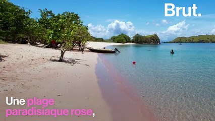 En un an, le plastique a ravagé cette plage paradisiaque en Indonésie